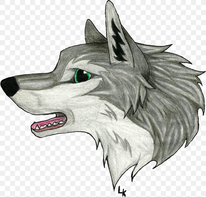 Gray Wolf Snout Legendary Creature Sketch, PNG, 1024x980px, Gray Wolf,  Carnivoran, Claw, Dog Like Mammal, Drawing