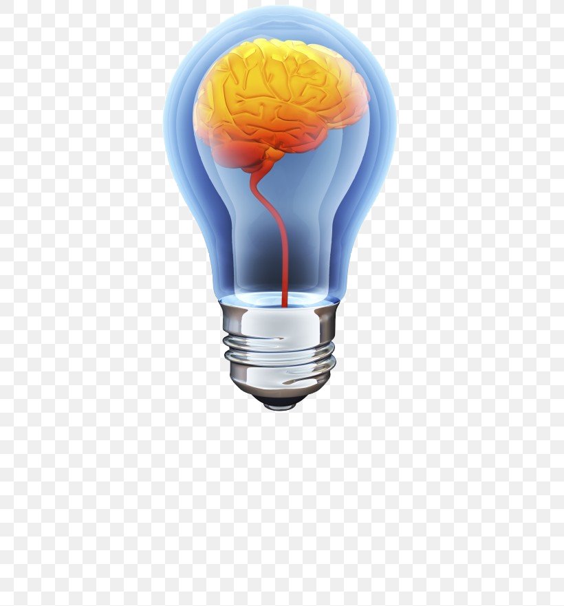 Human Brain Incandescent Light Bulb Stock Photography, PNG, 800x881px, Brain, Cognitive Training, Drawing, Electric Blue, Energy Download Free