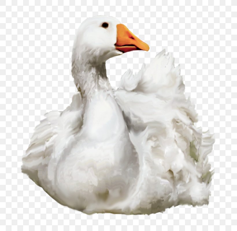 Little Yellow Duck Project, PNG, 775x800px, American Pekin, Beak, Bird, Duck, Ducks Geese And Swans Download Free