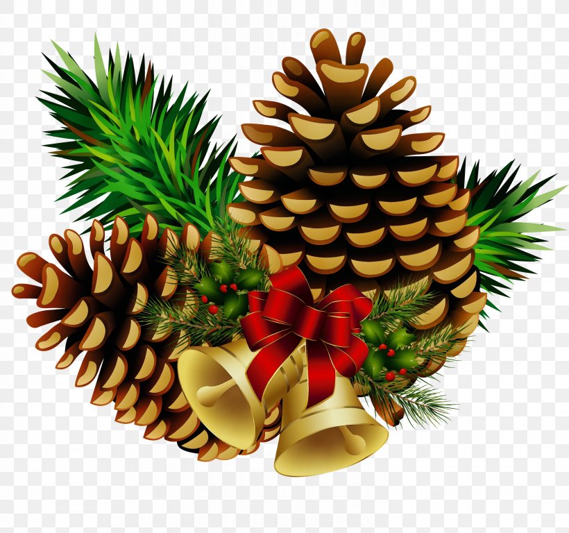 Pineapple, PNG, 3000x2811px, Watercolor, Colorado Spruce, Conifer, Conifer Cone, Fir Download Free
