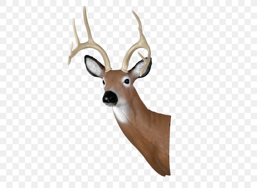 White-tailed Deer Shooting Target Target Archery Arrow, PNG, 600x600px, Deer, Antler, Archery, Bow And Arrow, Bowhunting Download Free