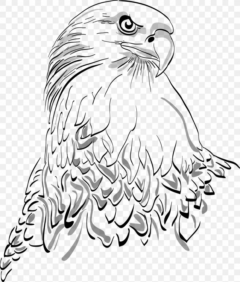 Bald Eagle White-tailed Eagle Bird Drawing, PNG, 1089x1280px, Bald Eagle, Accipitriformes, Artwork, Beak, Bird Download Free