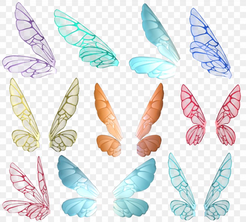 butterfly wing vector