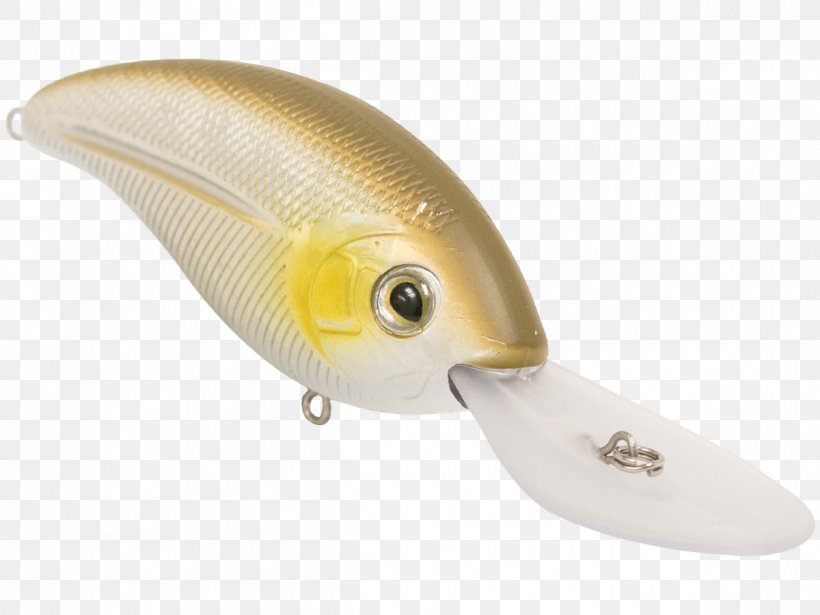 Fishing Baits & Lures Angling Bass Worms Topwater Fishing Lure, PNG, 1200x900px, Fishing Baits Lures, Angling, Bait, Bait Fish, Bass Download Free