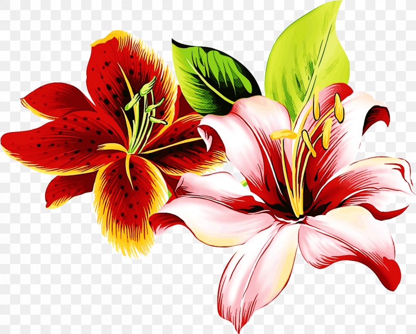 Flower Lily Petal Plant Red, PNG, 1200x964px, Flower, Hawaiian Hibiscus, Hibiscus, Lily, Petal Download Free