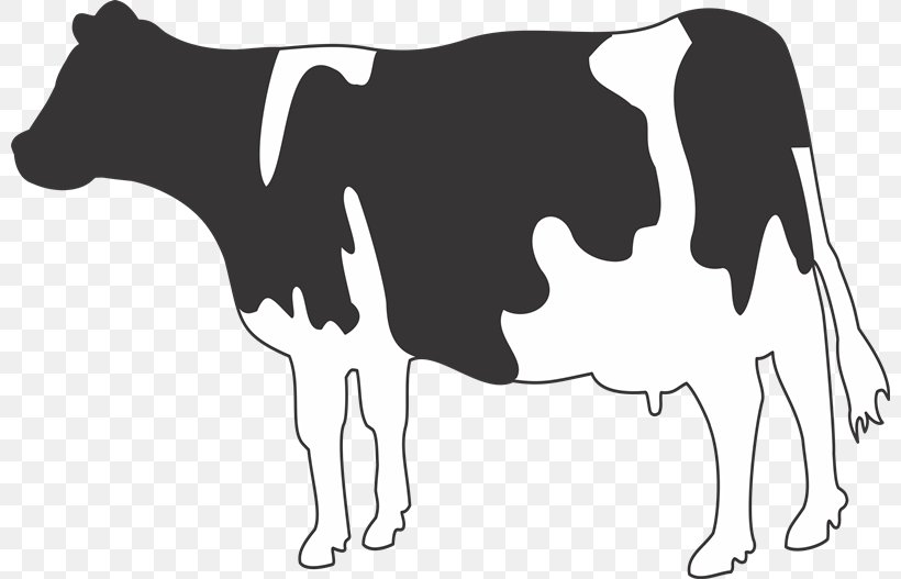 Jersey Cattle Holstein Friesian Cattle Belgian Blue Dairy Cattle Water Buffalo, PNG, 800x527px, Jersey Cattle, Belgian Blue, Black, Black And White, Branding Iron Download Free