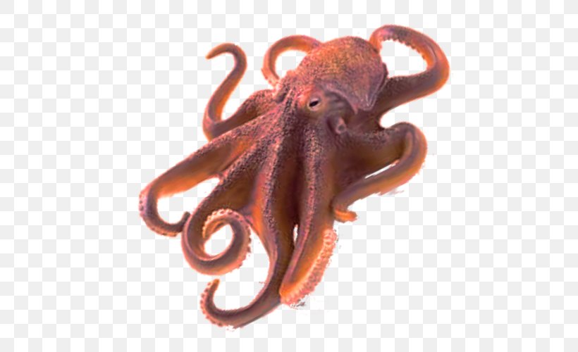 Octopus Clip Art, PNG, 500x500px, Octopus, Cephalopod, Common Octopus, Image File Formats, Invertebrate Download Free