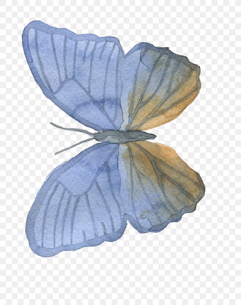 Butterfly Moth Petal, PNG, 1548x1965px, Butterfly, Blue, Bombycidae, Flower, Insect Download Free