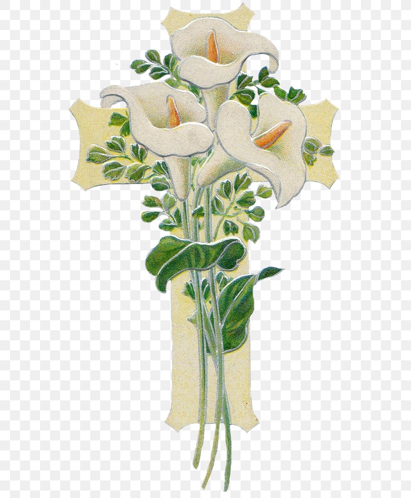 Garden Roses Cut Flowers Flower Bouquet Floral Design, PNG, 590x995px, Garden Roses, Artificial Flower, Arum, Arum Lilies, Arumlily Download Free