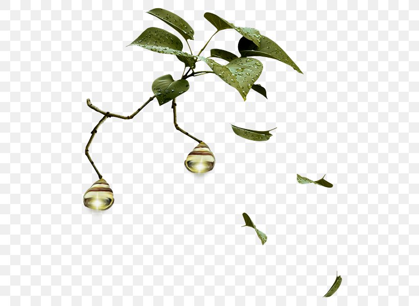 Tree Branch Shrub Leaf Clip Art, PNG, 532x600px, Tree, Branch, Collage, Flower, Fruit Download Free