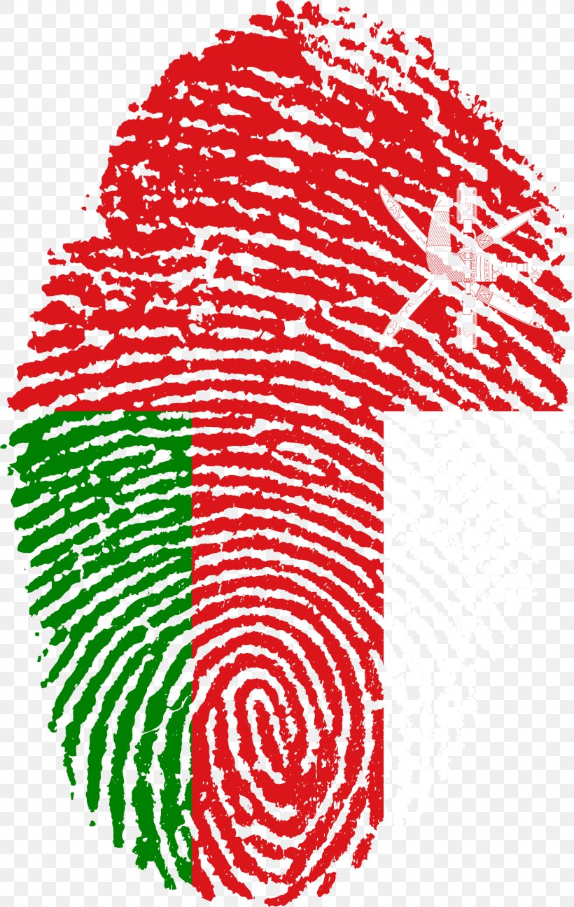 United Arab Emirates Flag Of China Fingerprint, PNG, 1573x2488px, United Arab Emirates, Area, Fingerprint, Flag, Flag Of China Download Free
