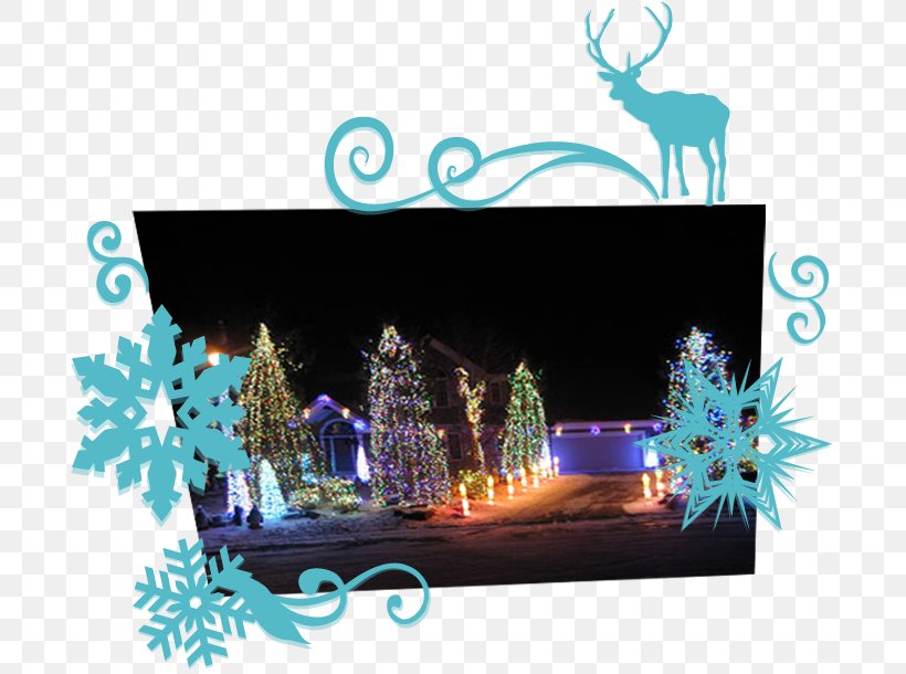 Waconia Christmas Lights Holiday, PNG, 704x610px, Waconia, Ashton Kutcher, Christmas, Christmas Lights, Computer Download Free