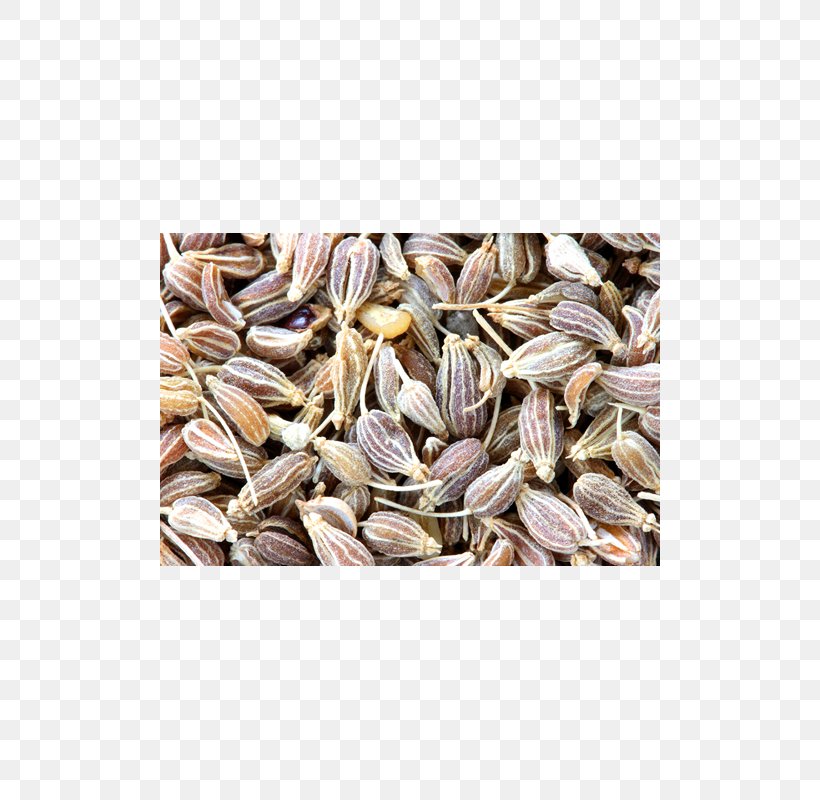 Anise Fennel Seed Spice Flavor, PNG, 800x800px, Anise, Ajwain, Commodity, Cumin, Extract Download Free