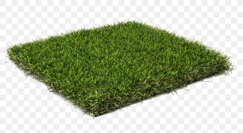 Terrace Garden Lawn Artificial Turf, PNG, 800x450px, Terrace Garden, Artificial Turf, Balcony, Carpet, Floor Download Free