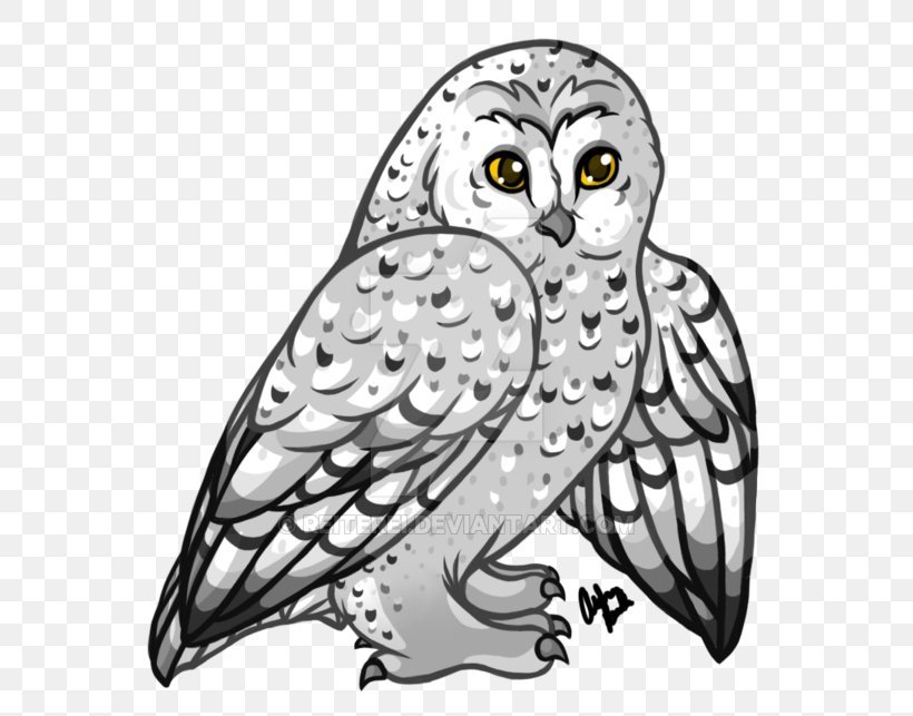 Owl Beak Bird Line Art, PNG, 600x643px, Owl, Art, Beak, Bird, Bird Of Prey Download Free