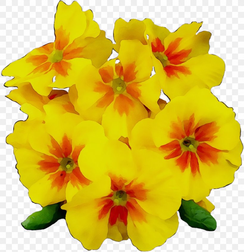 Image Clip Art Vector Graphics Desktop Wallpaper, PNG, 1080x1116px, Drawing, Arianators, Blog, Flower, Flowering Plant Download Free