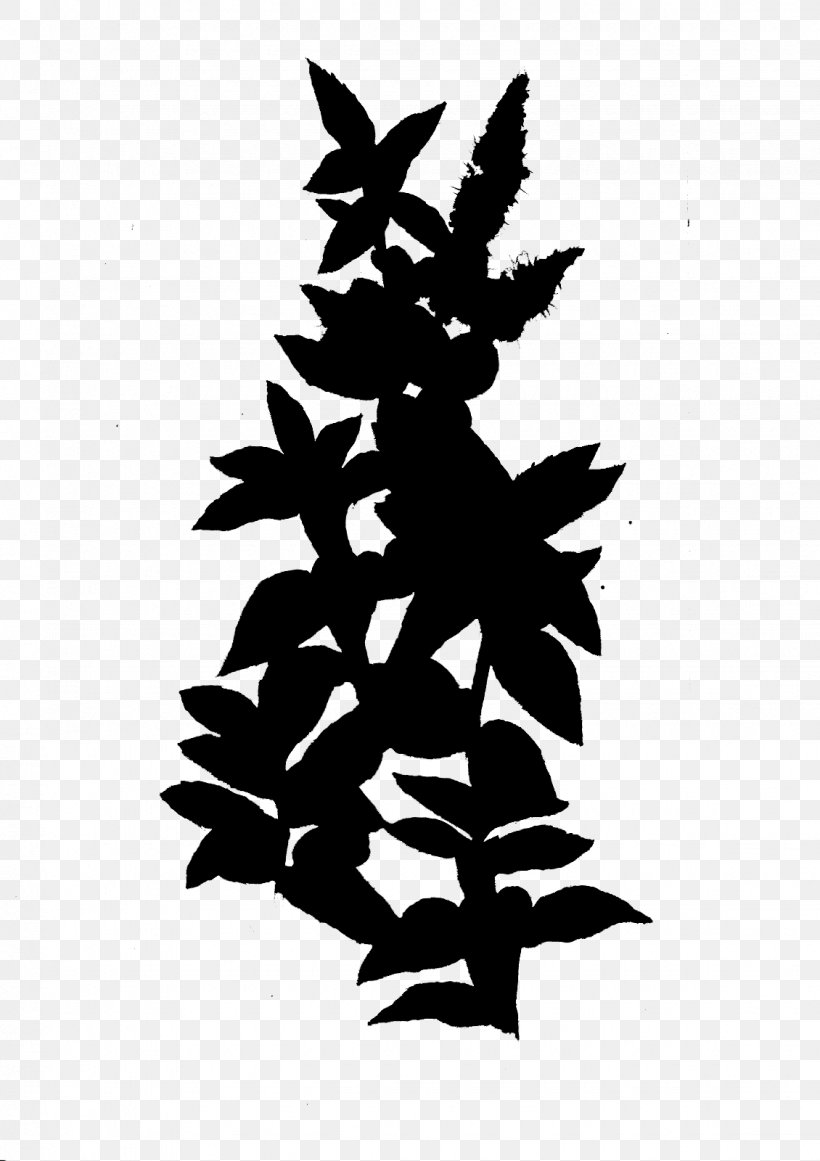 Leaf Flowering Plant Silhouette Font, PNG, 1130x1600px, Leaf, American Larch, Colorado Spruce, Evergreen, Flower Download Free