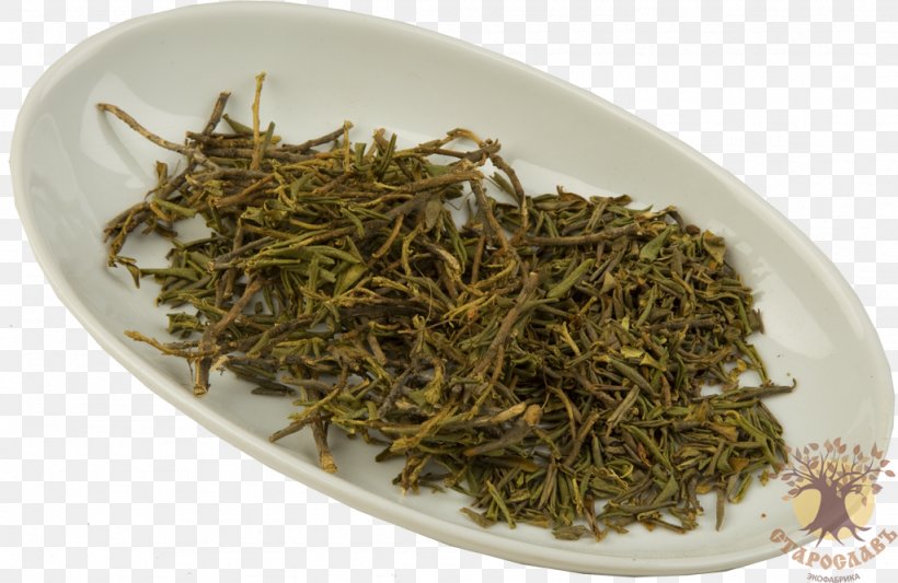 Nilgiri Tea White Tea Dianhong Tea Plant, PNG, 1024x666px, Nilgiri Tea, Assam Tea, Bai Mudan, Baihao Yinzhen, Bancha Download Free