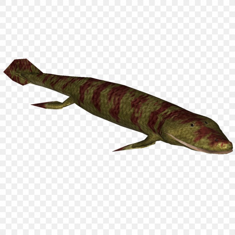 Zoo Tycoon 2 Tiktaalik Roseae Devonian Tetrapods Acanthostega, PNG, 1024x1024px, Zoo Tycoon 2, Acanthostega, Animal, Animal Source Foods, Burbot Download Free