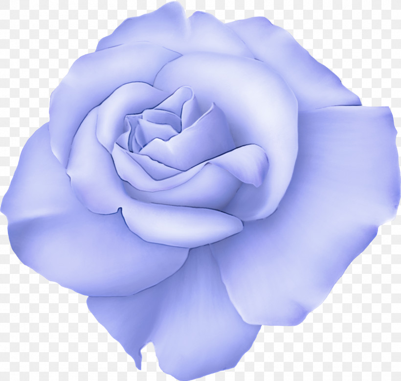Blue Rose, PNG, 1585x1506px, Flower, Blue, Blue Rose, Garden Roses, Hybrid Tea Rose Download Free