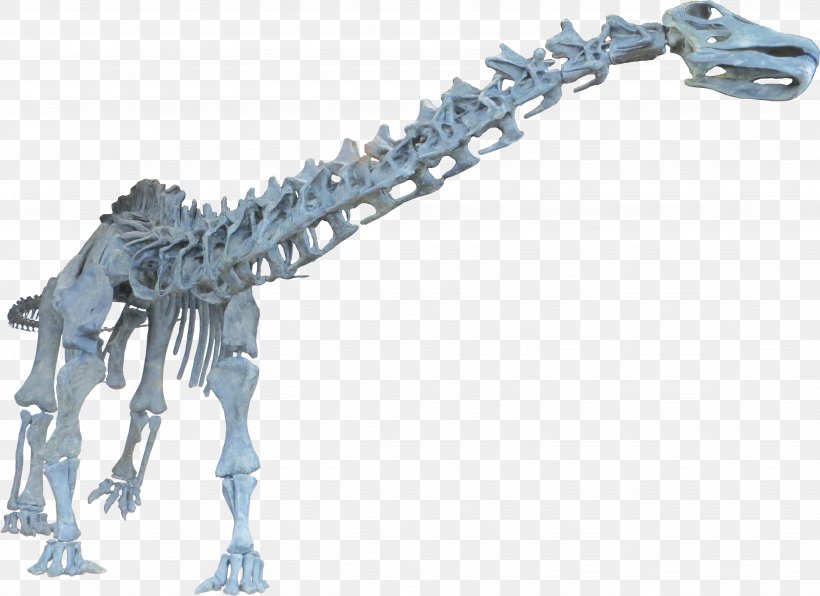 Brontosaurus Apatosaurus Dinosaur Diplodocus Tyrannosaurus, PNG, 3288x2392px, Brontosaurus, Allosaurus, Apatosaurus, Brontosaurus Parvus, Dinosaur Download Free