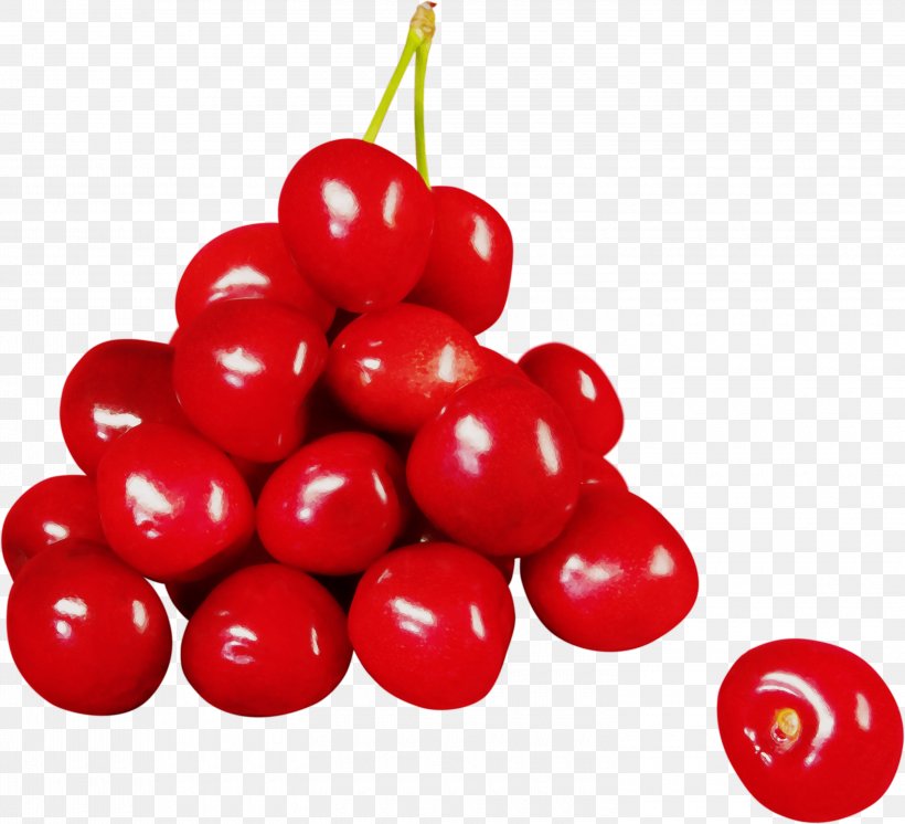 Cherry Fruit Natural Foods Red Food, PNG, 3000x2731px, Watercolor, Berry, Cherry, Cranberry, Food Download Free