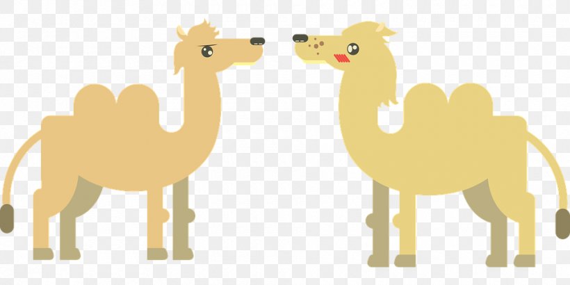 Dromedary Camel Face Xerocole Clip Art, PNG, 960x480px, Dromedary, Animal, Arabian Camel, Camel, Camel Face Download Free