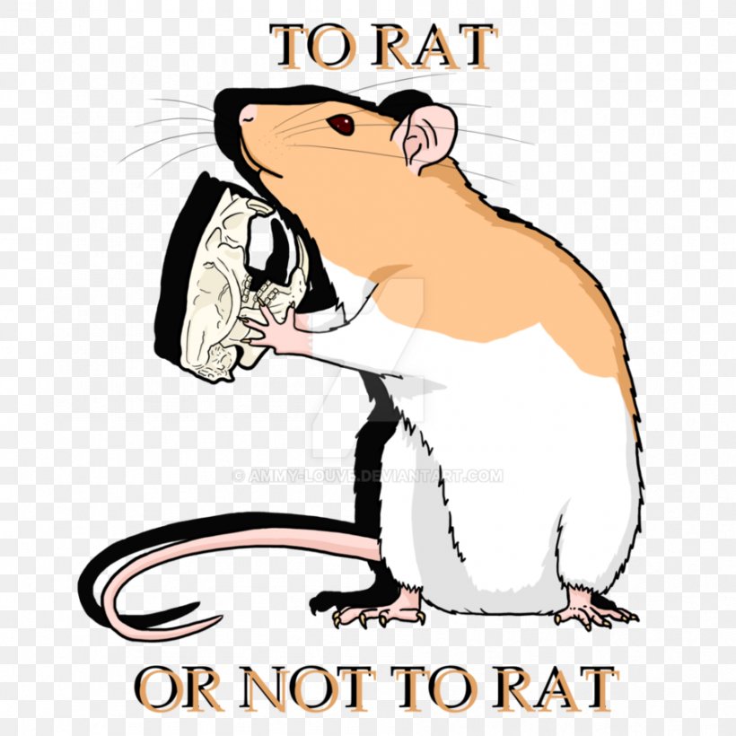 Rodent Rat Muroidea Clip Art, PNG, 894x894px, Rodent, Animal, Area, Artwork, Beak Download Free