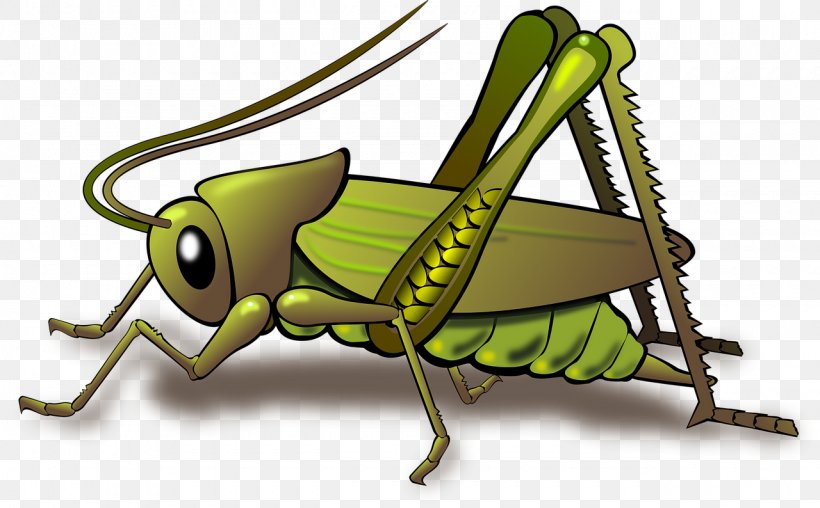 Grasshopper Insect Clip Art, PNG, 1280x794px, Grasshopper, Ant And The Grasshopper, Arthropod, Caelifera, Cricket Download Free