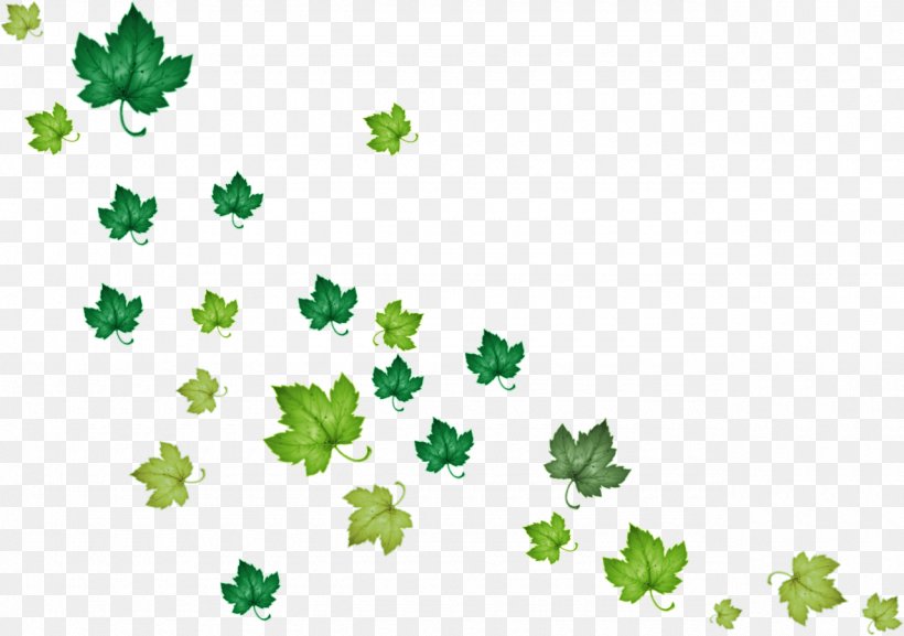 Leaf Green Raster Graphics Clip Art, PNG, 1280x902px, Leaf, Autumn, Autumn Leaf Color, Branch, Deciduous Download Free