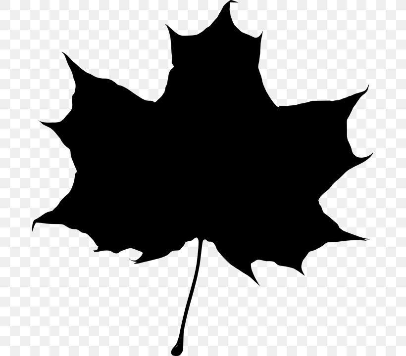 Maple Leaf Silhouette Clip Art, PNG, 689x720px, Maple Leaf, Autumn Leaf Color, Black, Black And White, Branch Download Free
