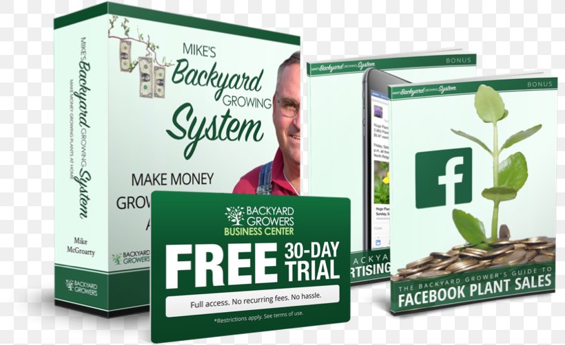 Money Plant Brand Backyard, PNG, 800x502px, Money, Backyard, Brand, Herb, Herbal Download Free