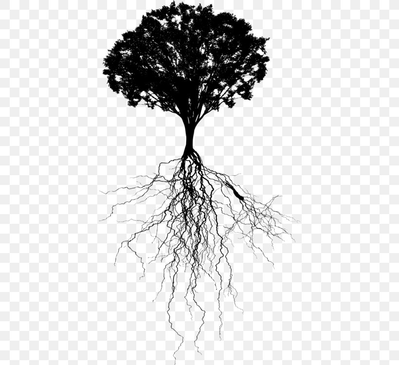 Tree Trunk Drawing, PNG, 414x750px, Drawing, Blackandwhite, Branch, Leaf, Nature Download Free