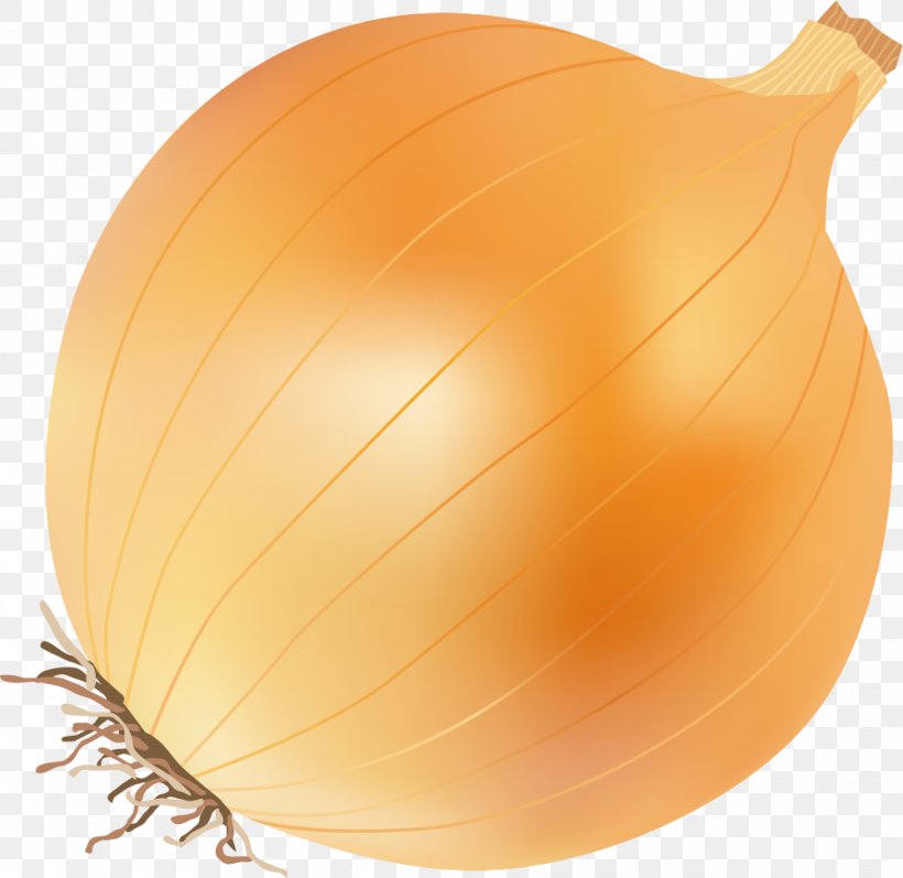 Yellow Onion Calabaza Clip Art, PNG, 1001x974px, Yellow Onion, Android, Calabaza, Cucurbita, Food Download Free