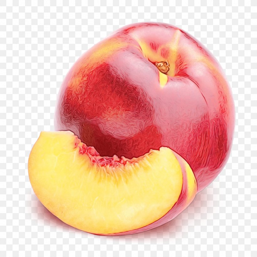 Fruit Peach Plant Food Nectarines, PNG, 1280x1280px, Watercolor, European Plum, Food, Fruit, Lip Download Free