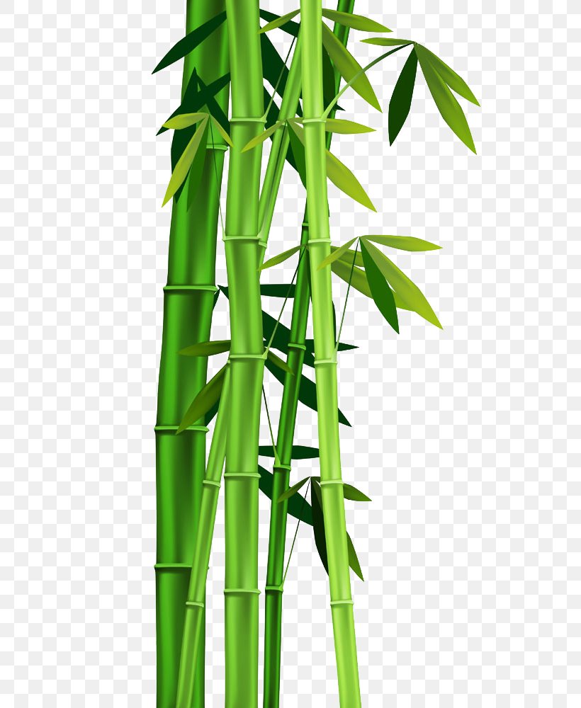 Bamboo Clip Art, PNG, 709x1000px, Bamboo, Bamboo Textile, Grass, Grass Family, Plant Stem Download Free