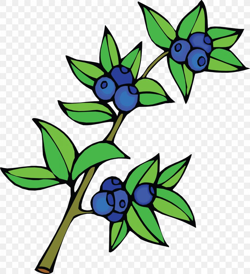 Bilberry Fruit Clip Art, PNG, 2732x3000px, Berry, Artwork, Auglis, Bilberry, Branch Download Free