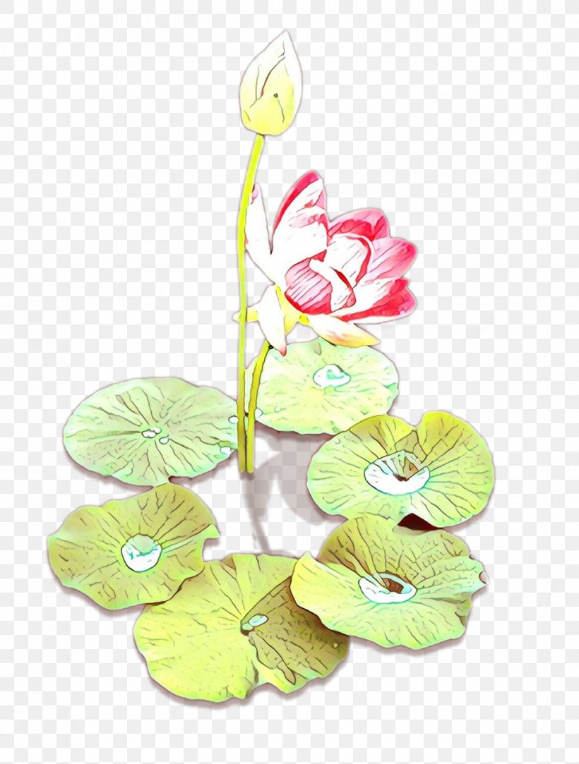 Petal Cut Flowers Floral Design Plant Stem, PNG, 969x1280px, Petal, Anthurium, Aquatic Plant, Artificial Flower, Botany Download Free