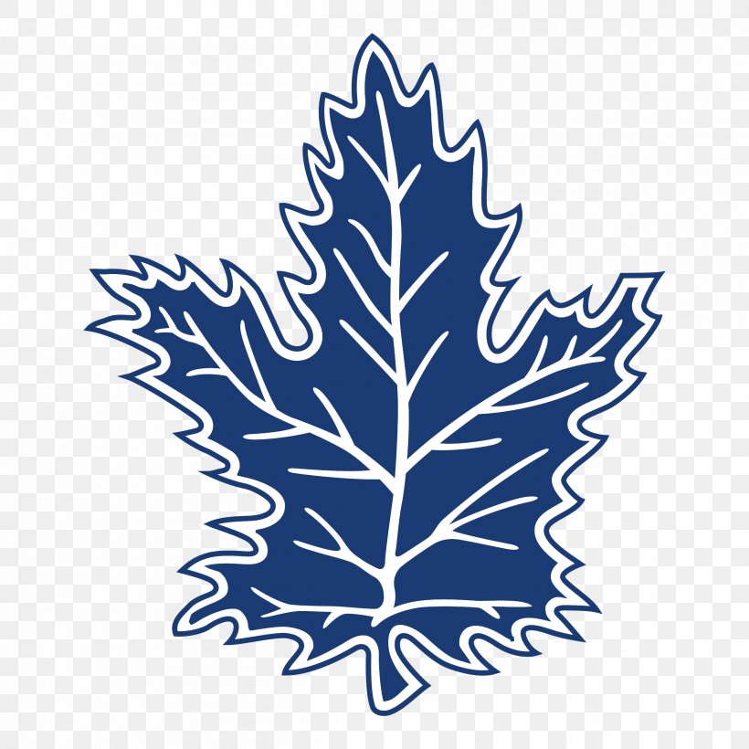 2017–18 Toronto Maple Leafs Season National Hockey League Toronto Raptors Ice Hockey, PNG, 2400x2400px, Toronto Maple Leafs, Flowering Plant, Hockey Jersey, Ice Hockey, Leaf Download Free
