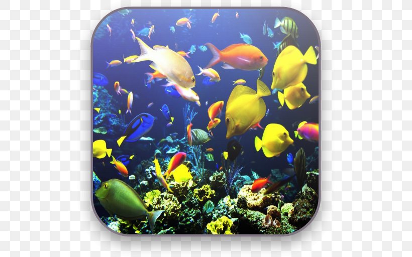 Aquarium Tropical Fish Koi Coral Reef Fish, PNG, 512x512px, Aquarium, Aquarium Decor, Aquarium Lighting, Ceramic, Coral Download Free