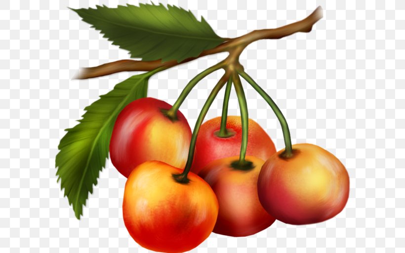 Cherry Bush Tomato Fruit Peach Vegetarian Cuisine, PNG, 600x511px, Cherry, Apple, Biscuits, Blog, Bush Tomato Download Free