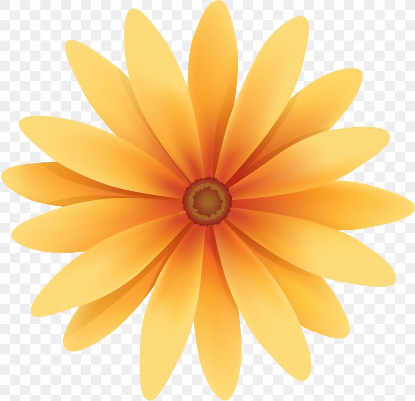 Flower, PNG, 3738x3614px, Flower, Daisy Family, Orange, Petal, Photography Download Free
