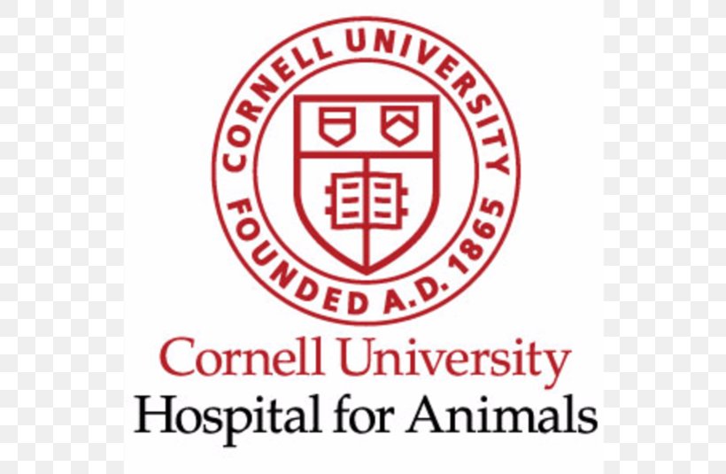 Cornell University Logo Brand Font Sticker, PNG, 800x535px, Cornell University, Area, Brand, Cufflink, Decal Download Free