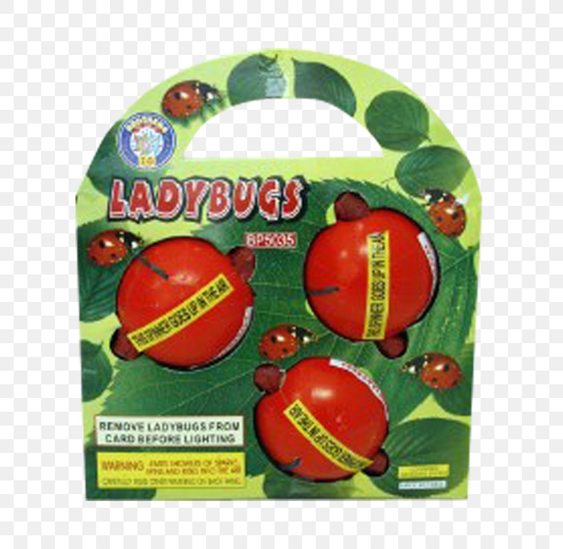 Hilltop Fireworks Ladybird Beetle Hornet, PNG, 800x800px, Ladybird Beetle, Ball, Beetle, Fireworks, Flower Download Free