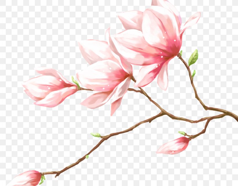 Petal Pink Flowers, PNG, 1024x800px, Petal, Blossom, Branch, Cherry Blossom, Floral Design Download Free