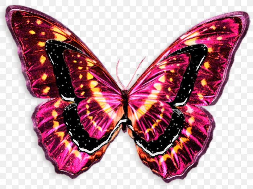 Sketch Light Butterflies And Moths Tattoo Photography, PNG, 1600x1196px, Light, Art, Arthropod, Brush Footed Butterfly, Butterflies And Moths Download Free