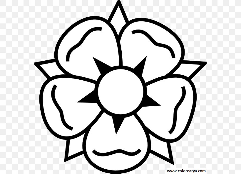 Flower Drawing Clip Art, PNG, 586x594px, Flower, Art, Black, Black And White, Drawing Download Free