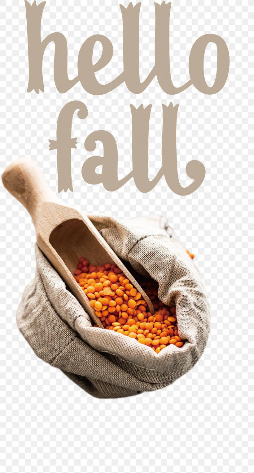 Hello Fall Fall Autumn, PNG, 1614x3000px, Hello Fall, Autumn, Calorie, Fall, Indian Cuisine Download Free