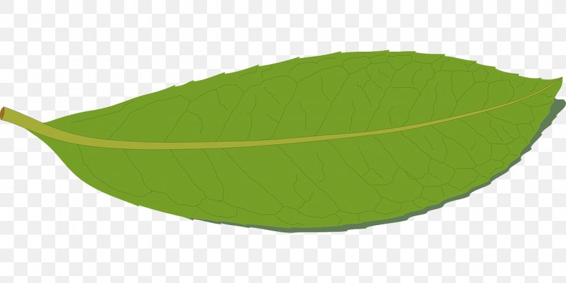 Leaf, PNG, 1280x640px, Leaf, Green, Plant Download Free