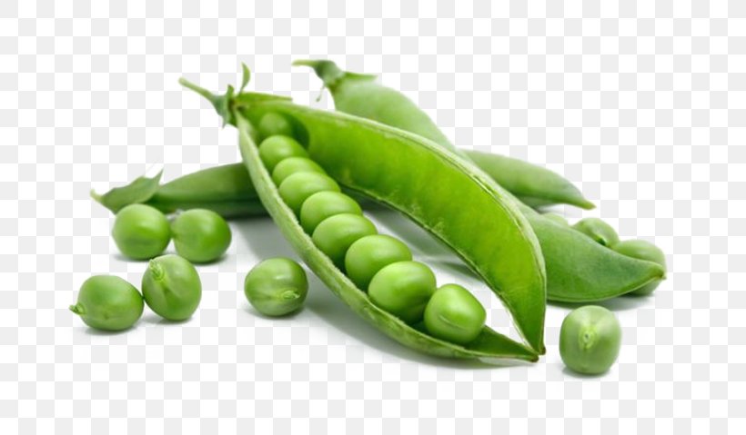 Pea Plant Pod Vegetable Legume, PNG, 700x479px, Pea, Annual Plant, Bean, Broad Bean, Commodity Download Free